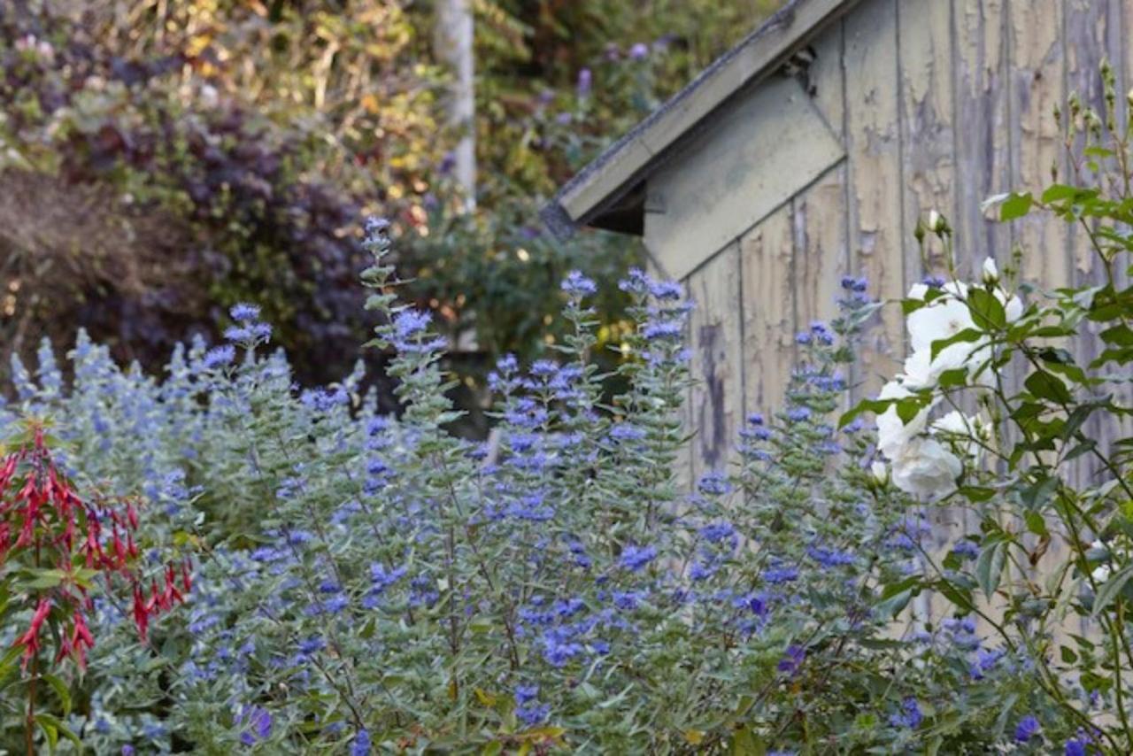 Lavender Cottage Биър Екстериор снимка